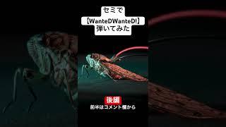 【後編】セミで【WanteD! WanteD!】#弾いてみた #ミセスグリーンアップル #セミ #せみ #例のアレ