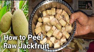 How to Peel Raw Jackfruit | How to Cut Raw Jackfruit at Home | এঁচোড় কাটার সহজ পদ্ধতি |Echor Cutting