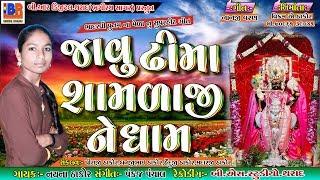 Javu Dhima Samlaji Ne Dham  II   જાવું ઢીમા શામળાજી ને ધામ  II  Nayna Thakor   II  2019