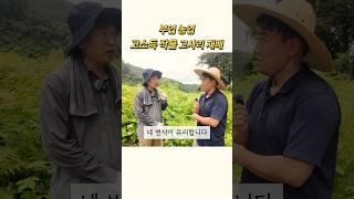 초보도 쉽게 키우는 고사리 재배 #고소득작물 #부업추천 #고사리재배