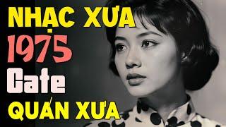 Nhac Vang - Lk Nhạc Vàng Xưa - Nhạc Xưa Nghe Là Nghiện - Nhac Xưa Hải Ngoại - Ít Người Còn Nhớ