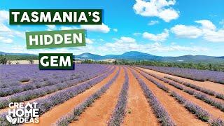 Touring Tasmania's STUNNING Lavender Farms | S29 Ep4 | Great Home Ideas