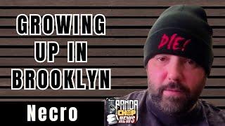 Necro On Having PTSD Experiencing Racism Growing Up In Brooklyn [Part 2]