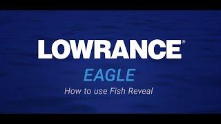 Lowrance Eagle Series 5, 7, and 9: DownScan FishReveal Feature