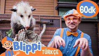 Blippi Hayvanat Bahçesine Gidiyor  Harika Hayvanları Öğrenelim  Blippi Türkçe