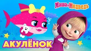 Маша и Медведь НОВАЯ ПЕСЕНКА!  АКУЛЁНОК  🫧🩵 Коллекция мультиков про Машу