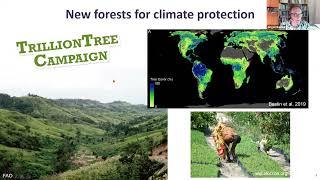 For the sake of resilience and multifunctionality, let’s diversify planted forests!