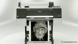 Epson P6000 and P8000 Pro Photo Printers Overview