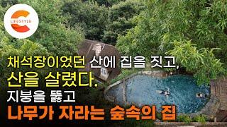 7,200평 야산에 컨테이너를 조립해서 만든 꿈의 집. 지붕을 뚫고 나무가 자라고 돌로 만든 수영장이 있는 '나무숲에 파묻힌 집'