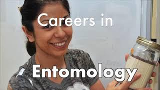 Careers in Entomology: JobSpark/Junior Achievement