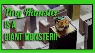 Ep 7 - Tiny Hamster Turned Into a Giant Monster