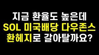 SOL 미국배당 다우존스 계속 살까? 아니면 새로 상장한 SOL 미국배당 다우존스(H) 모아갈까?