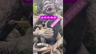 #달랏여행  #다딴라폭포 #고릴라#모델가수장서은  #가수장서은 #MC_가수 #행사진행