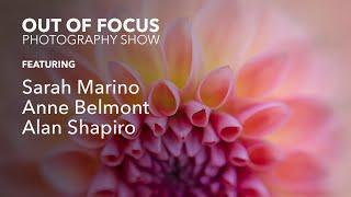 Debut of the Out of Focus Photography Show & Overview of Tone Curves in Lightroom with Alan Shapiro