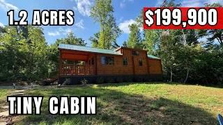 $199K cabin in the Blue Ridge Mountains makes money!