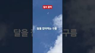 달을 먹고 사는 구름 #달의몰락 #김현철 #달