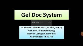 Visualization of DNA Bands in Gel doc system