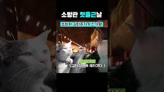 소방관 첫출근날┃고양이밈