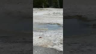 Yellowstone National Park Geyser #yellowstonenationalpark