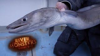 Catching A Lively Conger Eel In Southern England | EEL | River Monsters