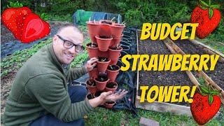 Dollar Tree Stackable Planters | Vertical Strawberry Tower on a Budget