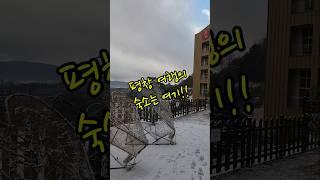 평창여행 숙소는 어디가 좋을까? 라마다 평창 어때! #평창여행 #라마다평창