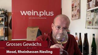 Grosses Gewächs | Nachproben 2024 | Mosel, Rheinhessen Riesling