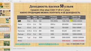 Пчеловодство как бизнес - Какой доход с пасеки в 50 пчелосемей