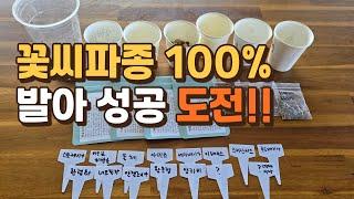 꽃씨 파종, 100% 발아 성공 도전!!