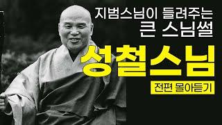 #성철스님 "산은 산이요 물은 물이로다 "| 어디서도 들을 수 없는 큰스님 썰!(출가부터 원적까지 한방에 몰아듣기) #열반30주기