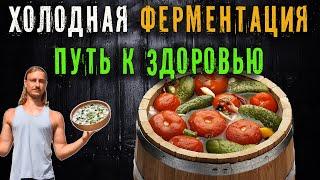 Холодная ферментация – путь к оптимальному здоровью