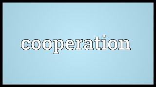 Cooperation Meaning