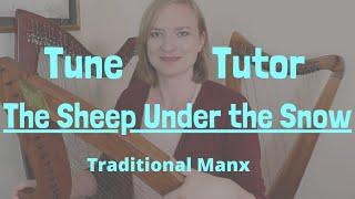 The Sheep Under the Snow | Tune Tutor with Tiffany Schaefer