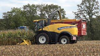 Mais hakselen door loonbedrijf Jansen Eupe met hun nieuwe New Holland FR650 (2024)