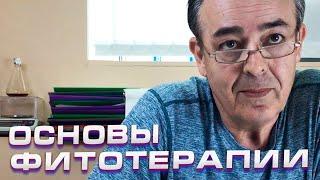 Основные принципы и правила фитотерапии. Айсбек Pro.