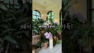 이번 주말 데이트 갈 카페!  #서울데이트#교외카페#기찻길카페