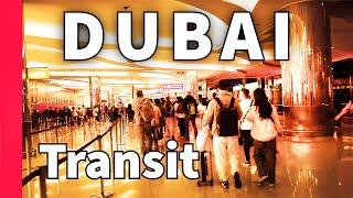 【Airport Tour】2023 How to Transit in Dubai Airport