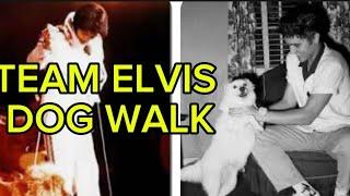 TEAM ELVIS DOG WALK