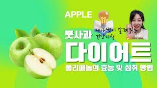 풋사과 다이어트 폴리페놀의 효능 및 섭취 방법