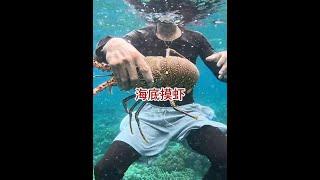 漁民趕海抓大龍蝦，那可真是踏破鐵鞋有覓處，得來全是開心果 #戶外趕海抓海鮮 #潛水 #一起看看海底世界