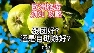 欧洲旅游须知攻略002 欧洲旅游跟团好还是自己好？