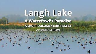 Langh Lake - A Waterfowl's Paradise