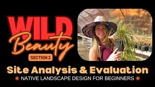  "Wild Beauty" Native Landscape Design for Beginners | Section 2: Site Analysis & Evaluation 