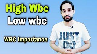 WBC count and its importance