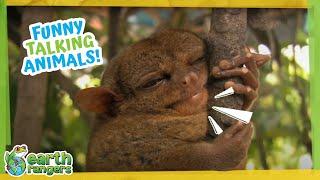 Funny Talking Animals
