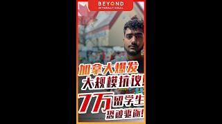【彼岸国际】加拿大爆发大规模抗议驱逐7万留学生