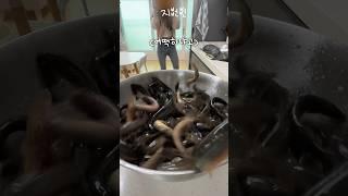미꾸라지VS지뻔뻔