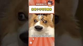 什么都沒學會就練了一手好字#萬萬沒想到 #考試 #期末考試