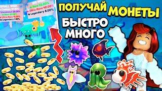 Как БЫСТРО Получить МНОГО МОНЕТв Океаническом Ивенте Адопт Ми? Обнова Adopt Me Roblox