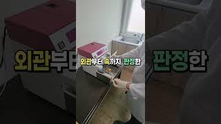 [정책 홍보 콘텐츠 공모전] EP. 08 뭐를 좋아해~ 품질 좋은 등급란!